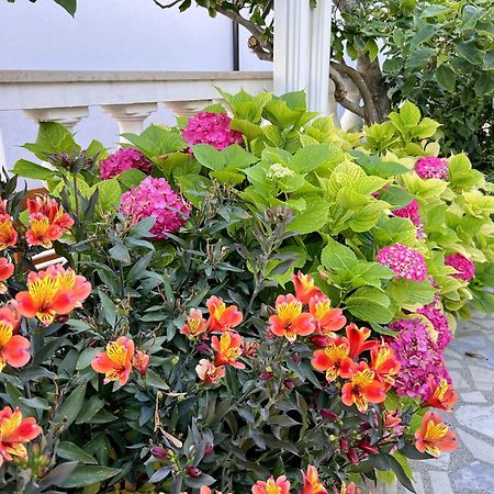 Bed & Breakfast Rab Palit 外观 照片