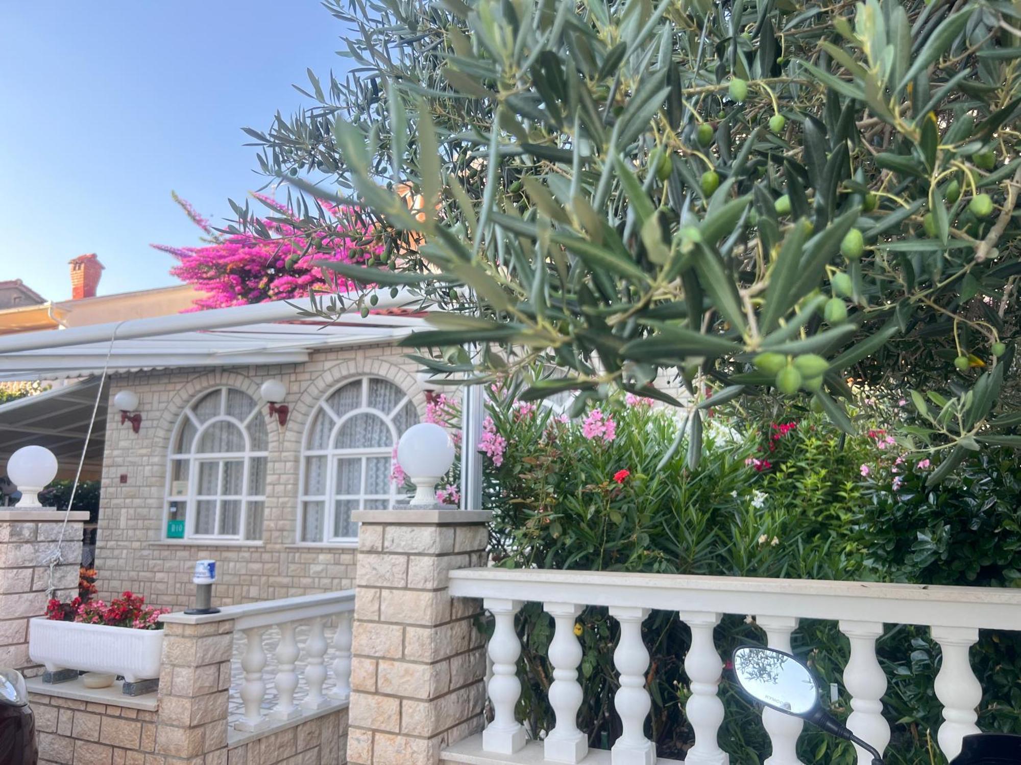 Bed & Breakfast Rab Palit 外观 照片